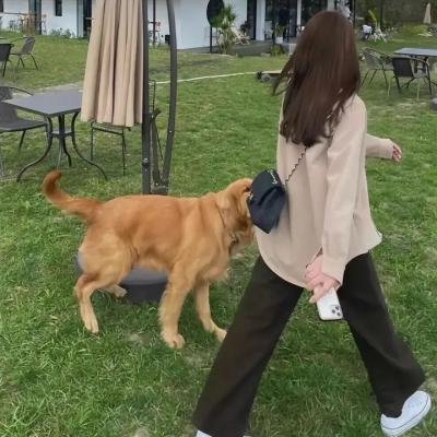 我留下来!